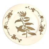 1950's RARE-19 MMA-PEM plates #1