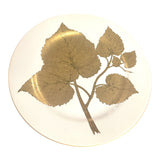 1950's RARE-19 MMA-PEM plates #4