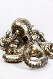 Large Octopus