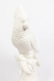 Ceramic Parrot