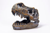 T-Rex Head Bronze