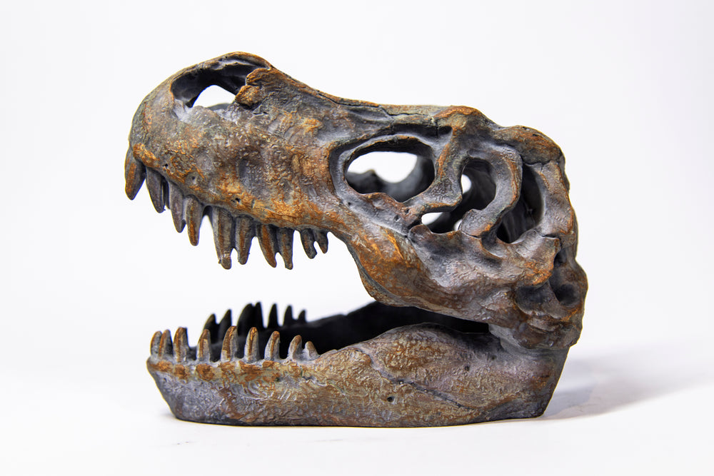 T-Rex Head Bronze