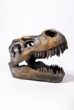 T-Rex Head Bronze