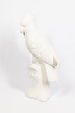 Ceramic Parrot