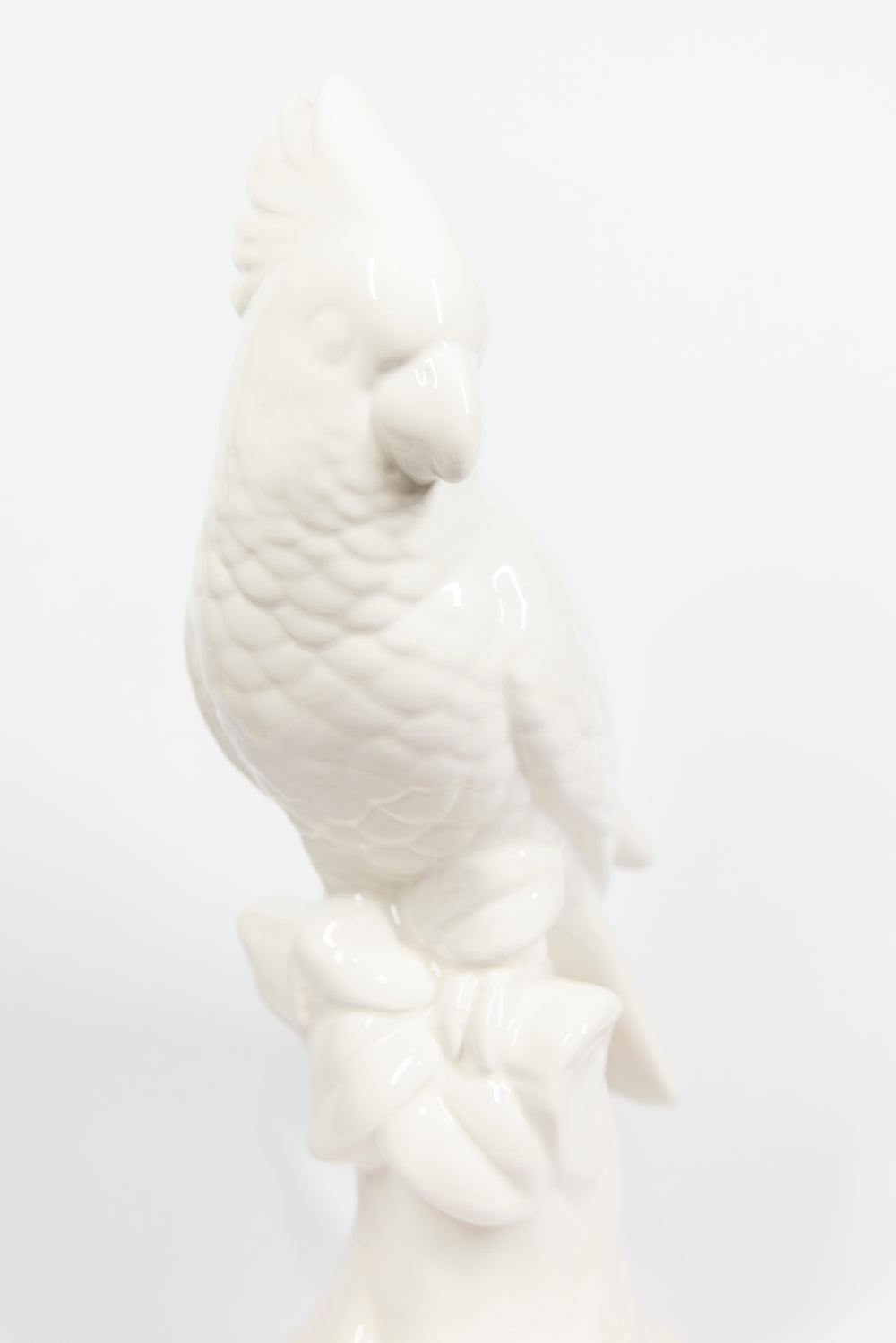Ceramic Parrot